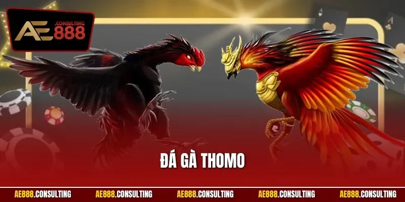 Đá gà THOMO