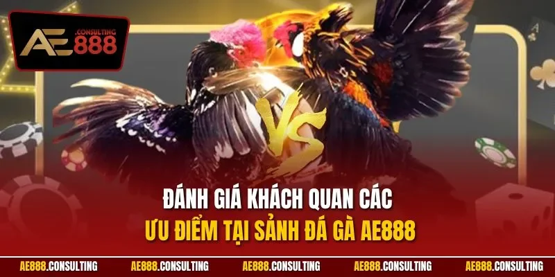Đánh giá khách quan các ưu điểm tại sảnh đá gà AE888