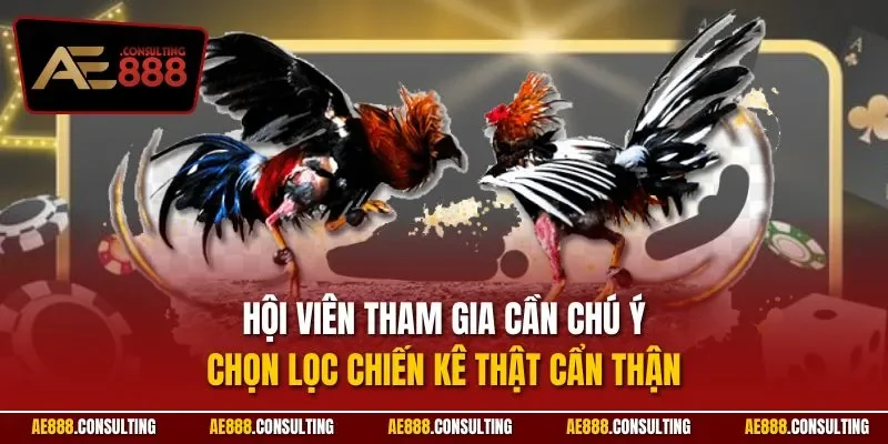 Hội viên tham gia cần chú ý chọn lọc chiến kê thật cẩn thận