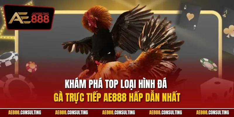 Khám phá top loại hình đá gà trực tiếp AE888 hấp dẫn nhất