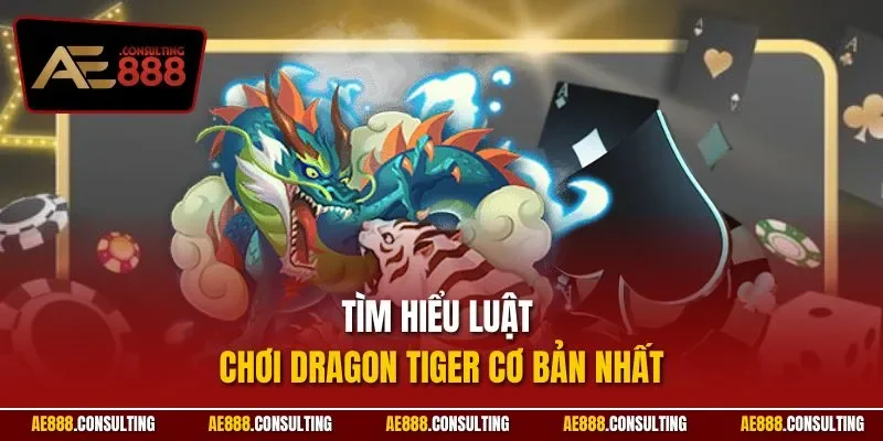 Tìm hiểu luật chơi Dragon Tiger cơ bản nhất